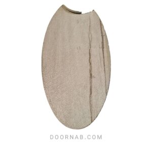 درب ABS با روکش کاج کد 2110